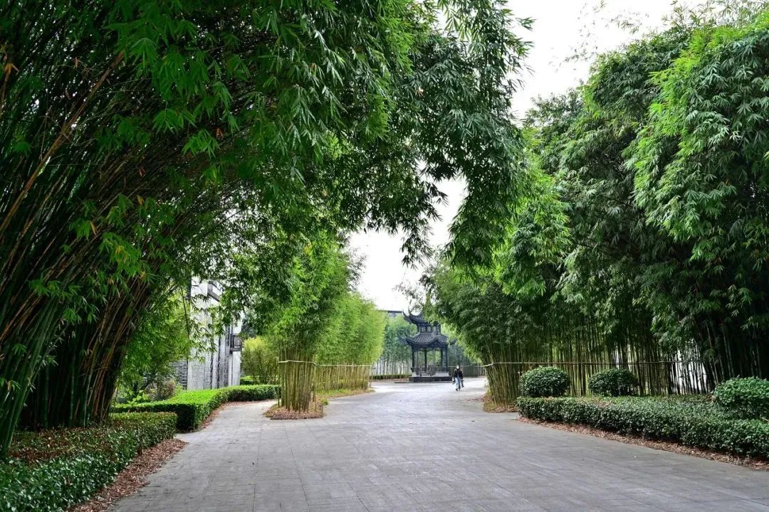 白云边连续五年荣登旅行社服务网点旅游招徕正面清单，彰显卓越服务品质