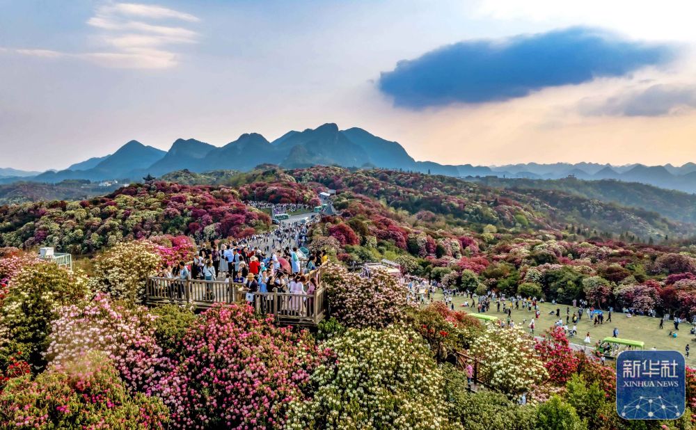 诗意中国丨春日上春山 一场与时光的温柔邂逅