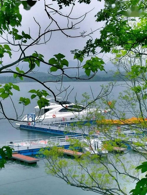 五一出游注意 安徽4A级及以上景区全部预约，旅行社服务网点规范招徕