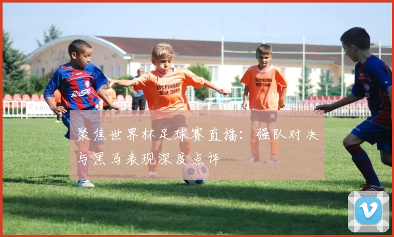 聚焦世界杯足球赛直播：强队对决与黑马表现深度点评