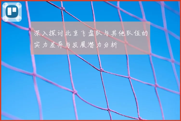 深入探讨北京飞盘队与其他队伍的实力差异与发展潜力分析