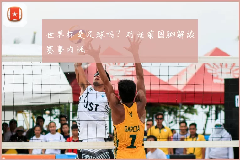 世界杯是足球吗？对话前国脚解读赛事内涵