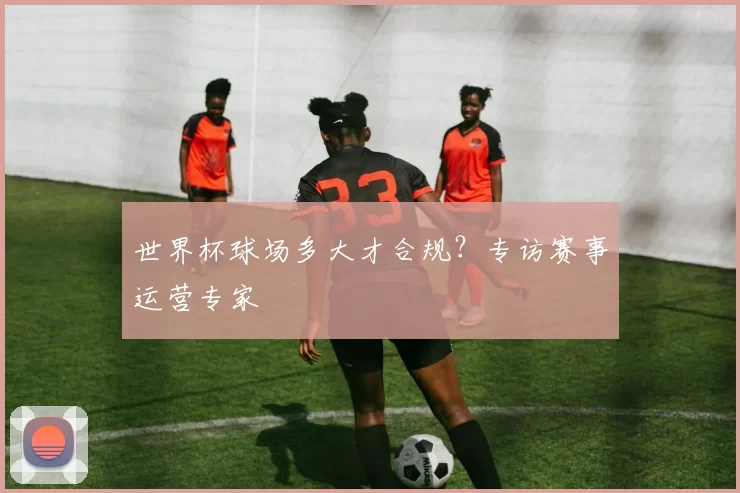 世界杯球场多大才合规？专访赛事运营专家