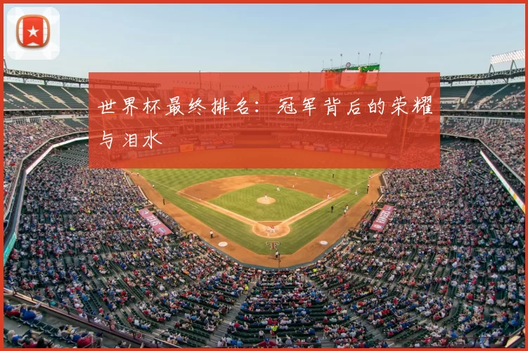 世界杯最终排名：冠军背后的荣耀与泪水