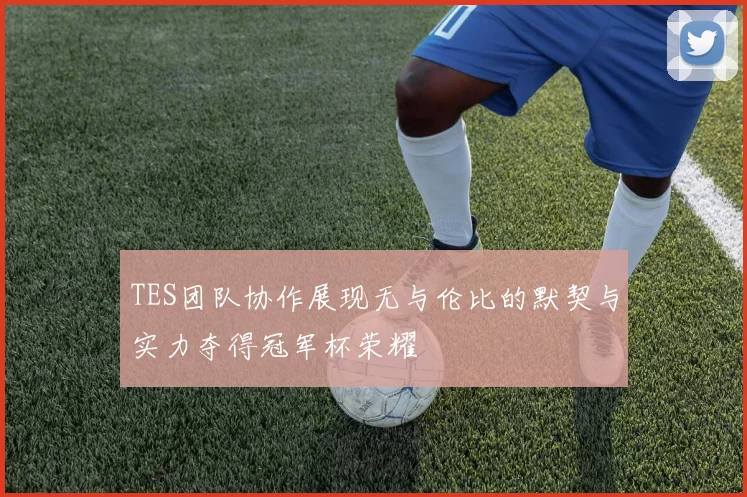 TES团队协作展现无与伦比的默契与实力夺得冠军杯荣耀