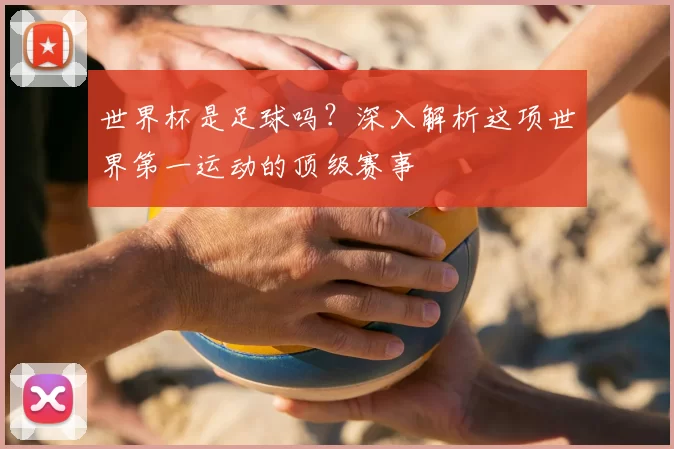 世界杯是足球吗？深入解析这项世界第一运动的顶级赛事