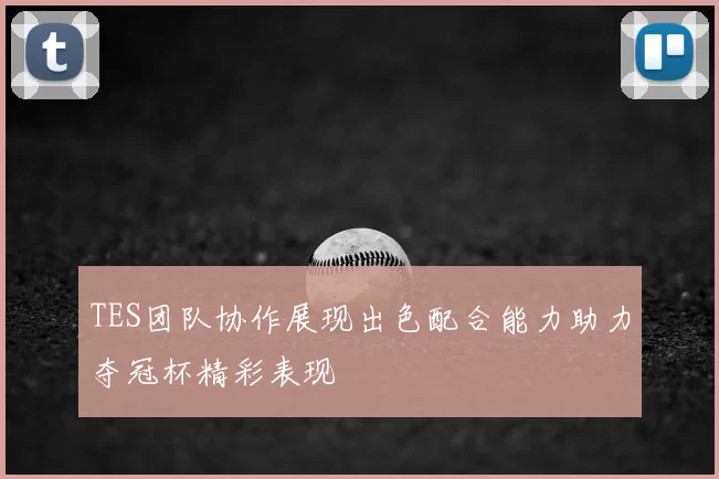 TES团队协作展现出色配合能力助力夺冠杯精彩表现