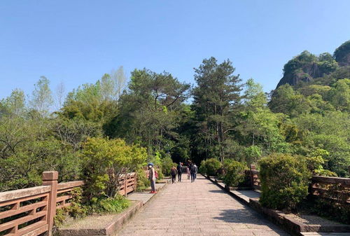 武夷山恢复开放，全国医护人员免费游览，多项优惠政策助力旅游业复苏