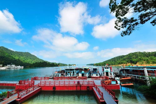 万绿湖 山水之间的管理典范，为你疯狂打call！